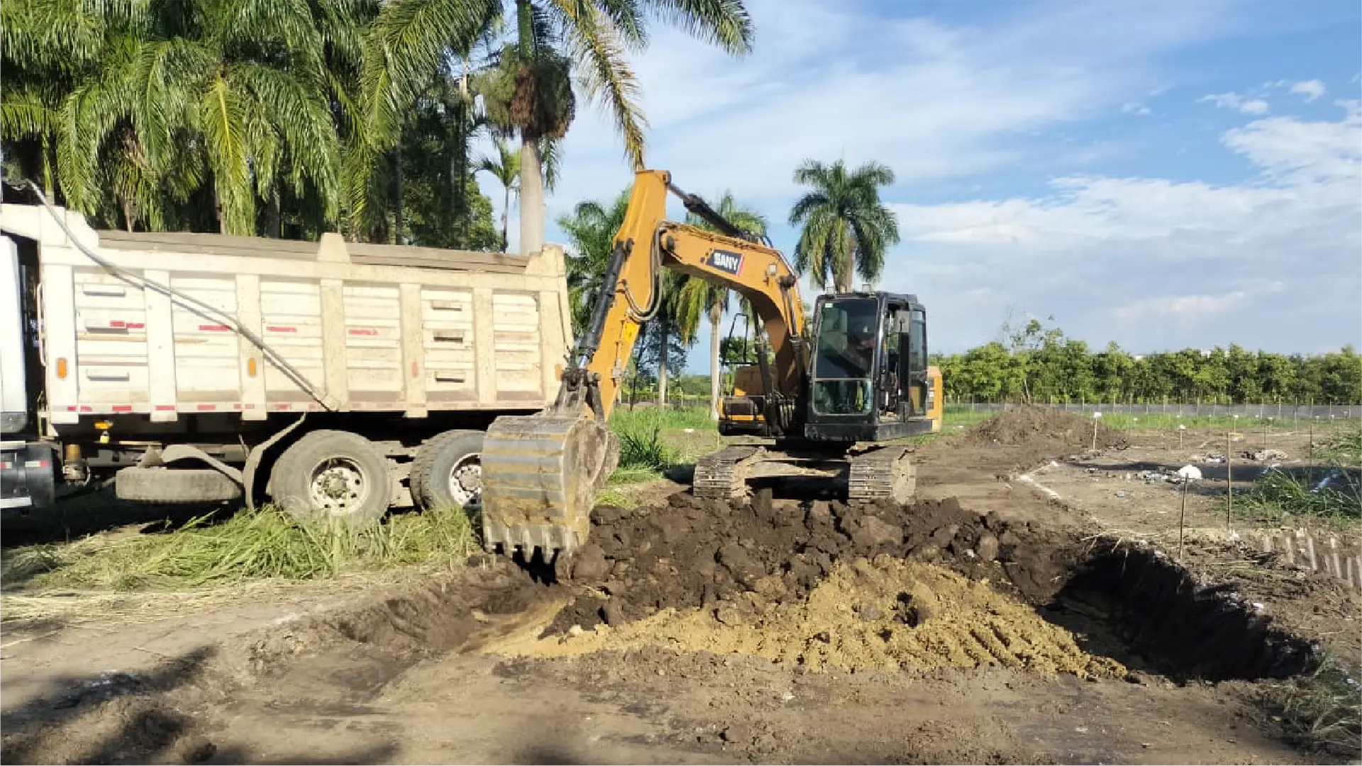 bambusa-avance-obra-1