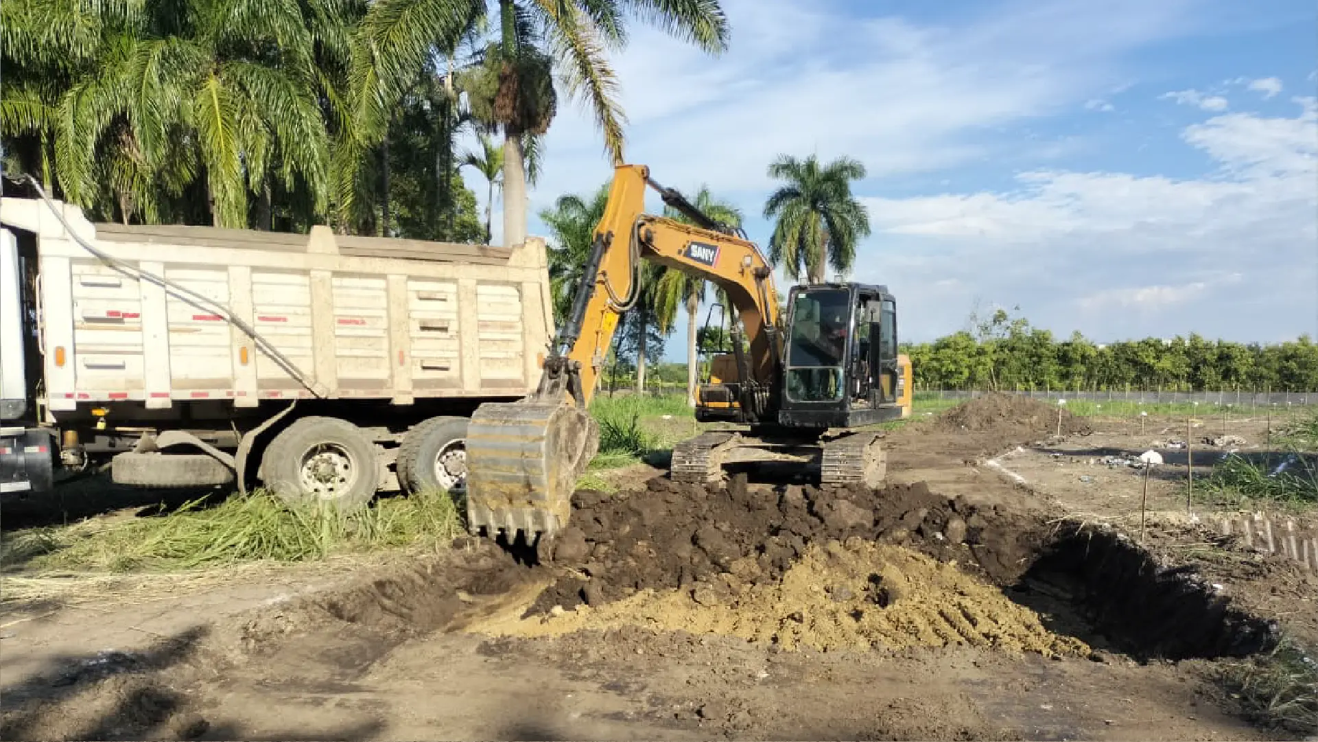 brassika-avance-obra-4